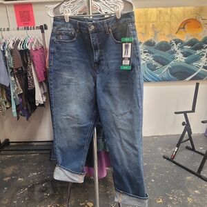 Frye High-Rise Blue Jeans